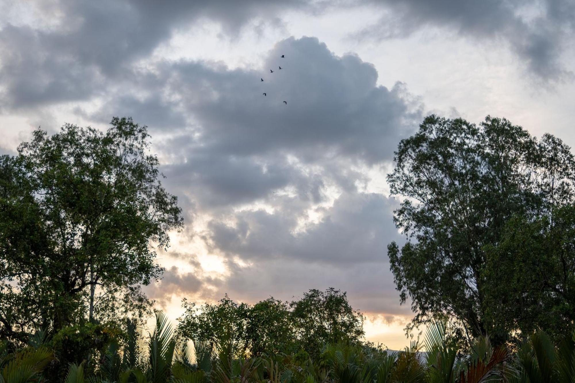 Kampot Eco Village エクステリア 写真